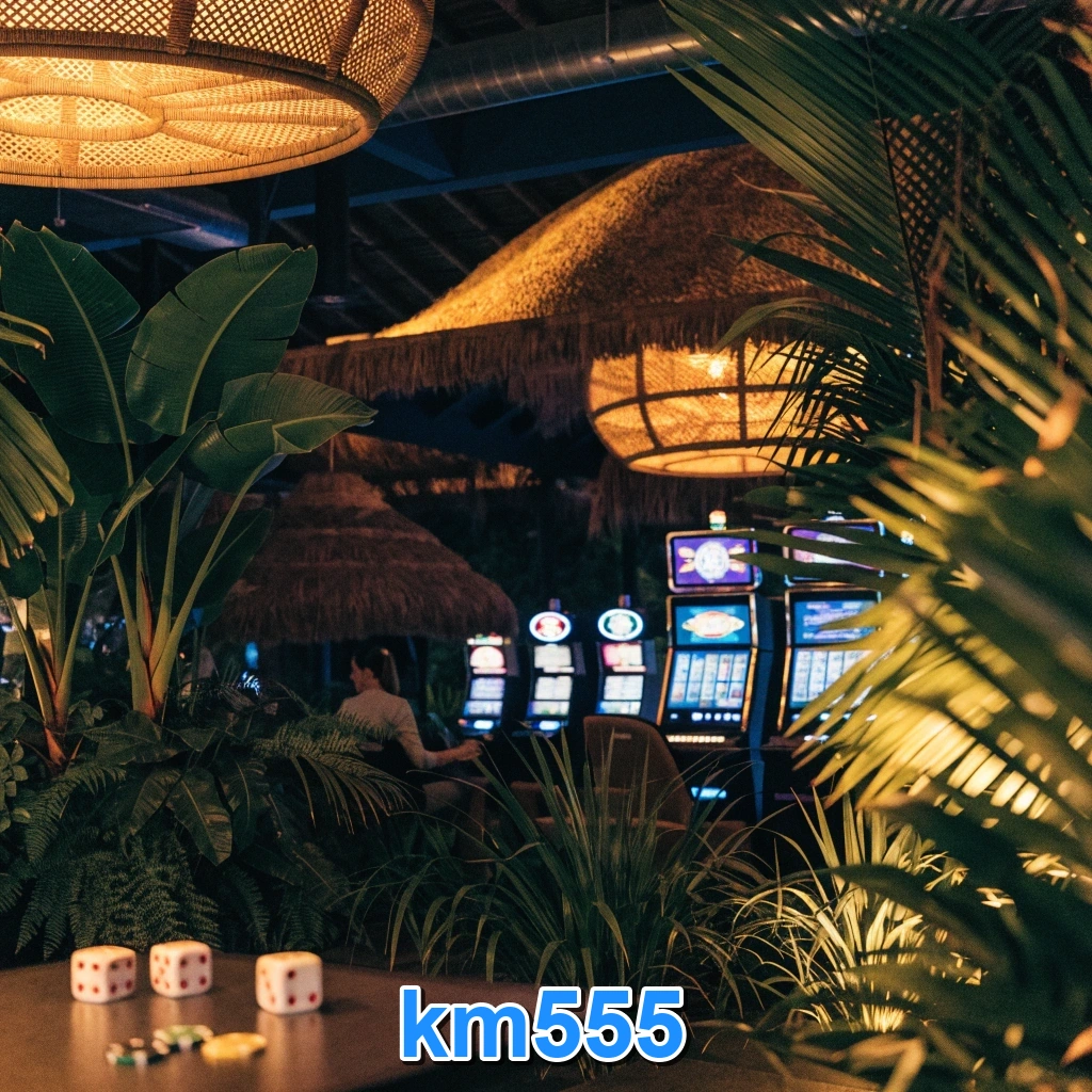 Screenshot 3 - km555 Settings
